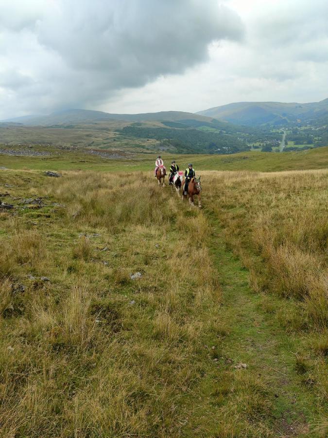 Отель Pentre Riding Stables Abercraf Экстерьер фото
