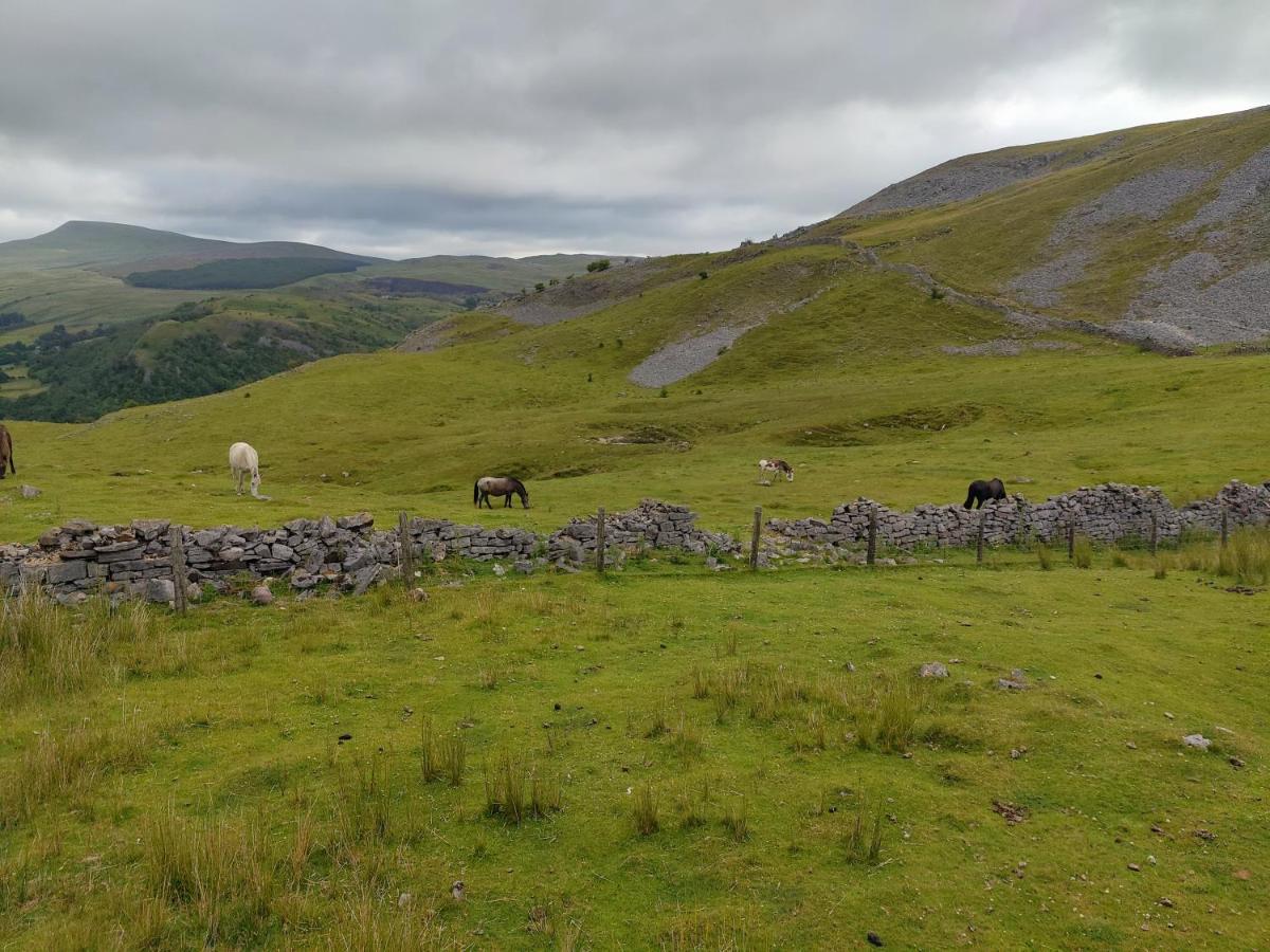 Отель Pentre Riding Stables Abercraf Экстерьер фото